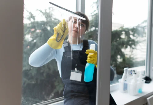 Nettoyage de vitres intérieures et extérieures à Dieudonné